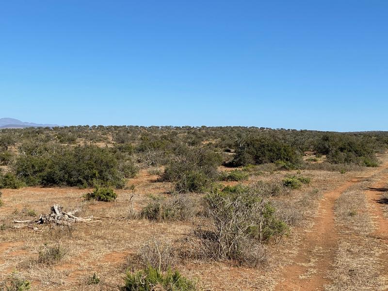 0 Bedroom Property for Sale in Kirkwood Eastern Cape